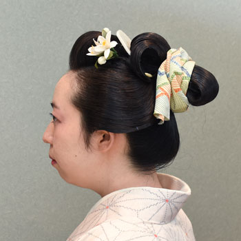 ���{���}�� 247 ����